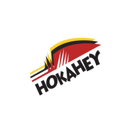 Konsulter för innovation Hokahey med hives idéverktyg